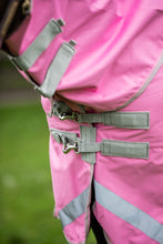 Load image into Gallery viewer, Swiss Equestrian 0g Detachable Neck Turnout Rug - Baby Pink
