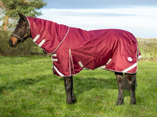 Load image into Gallery viewer, Swish Equestrian 100g Detachable Neck Turnout Rug - Burgundy
