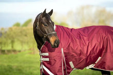 Load image into Gallery viewer, Swish Equestrian 200G Detachable Neck Turnout Rug - Burgundy
