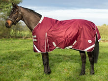 Load image into Gallery viewer, Swish Equestrian 100g Detachable Neck Turnout Rug - Burgundy
