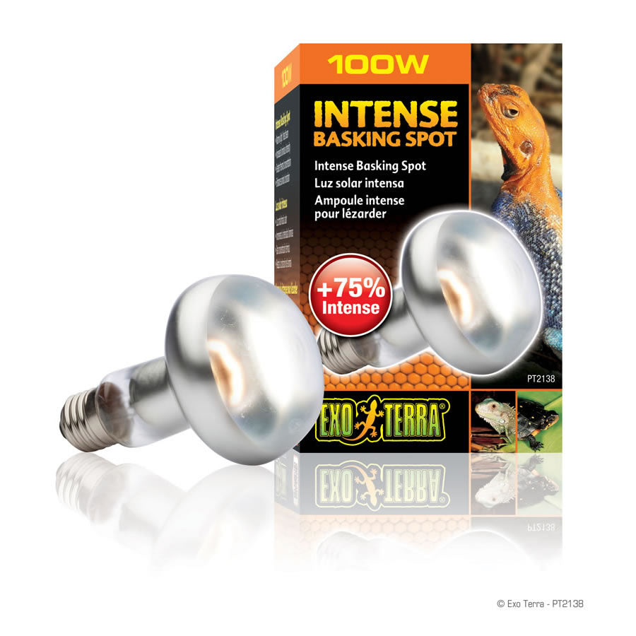 Exo Terra intense basking spot 100w