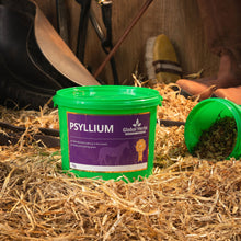Load image into Gallery viewer, Psyllium 1kg - Global Herbs
