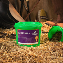 Load image into Gallery viewer, Fenugreek 1kg - Global Herbs

