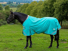 Load image into Gallery viewer, Swish Equestrian 100g Detachable Neck Turnout Rug - Peppermint
