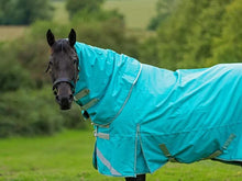Load image into Gallery viewer, Swish Equestrian 100g Detachable Neck Turnout Rug - Peppermint
