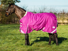 Load image into Gallery viewer, Swiss Equestrian 0g Detachable Neck Turnout Rug - Mulberry
