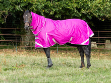 Load image into Gallery viewer, Swish Equestrian 50g Detachable Neck Turnout Rug - Mulberry
