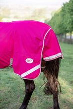 Load image into Gallery viewer, Swiss Equestrian 0g Detachable Neck Turnout Rug - Pink
