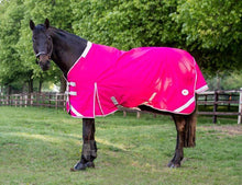 Load image into Gallery viewer, Swiss Equestrian 0g Detachable Neck Turnout Rug - Pink
