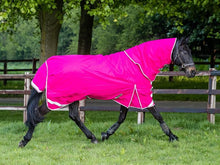Load image into Gallery viewer, Swish Equestrian 50g Detachable Neck Turnout Rug - Pink
