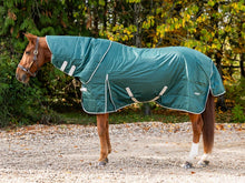 Load image into Gallery viewer, Swish Equestrian 100g Stable Rug With Detachable Neck - Hunter Green
